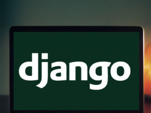 Курс «Django: создание функциональных веб-приложений» онлайн обучение от Нетологии