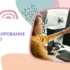 Курсы системных администраторов. Обучение системных администраторов. Программа обучения администрированию Windows 2003 — курсы сетевых администраторов Windows для профессионалов .